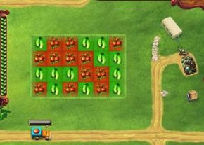 Little Farm
