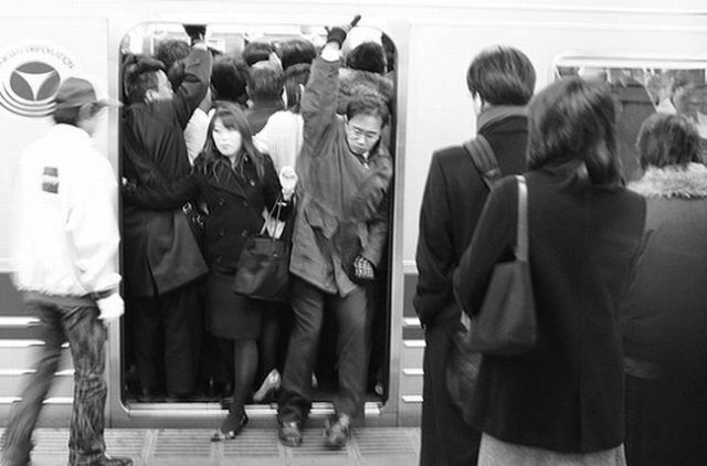 The rush hour in Japan (14 pics + 2 videos)
