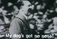 Hitler in gif animations (18 gifs)