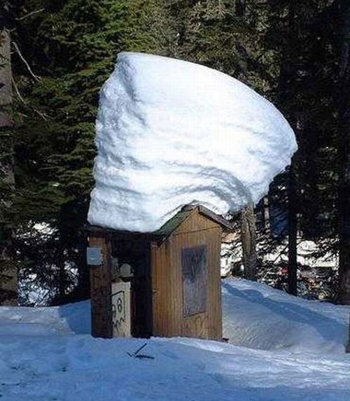 Toilets can be different (103 pics)