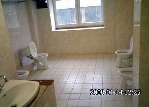 Toilets can be different (103 pics)