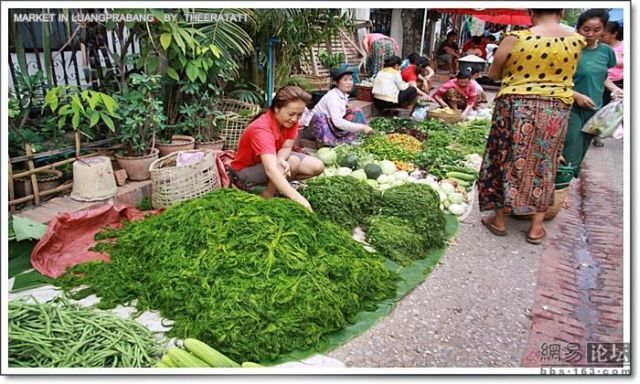 Asian morning market (19 pics)