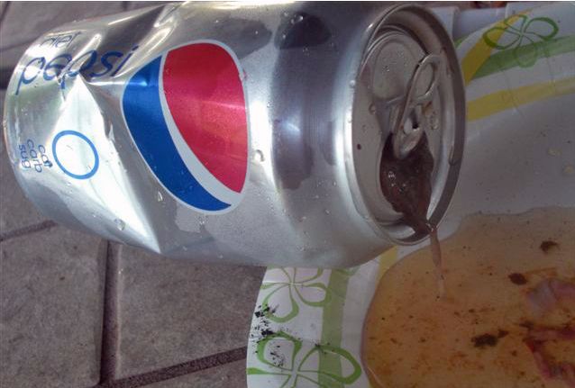 Bad surprise in a can of Pepsi (9 pics)