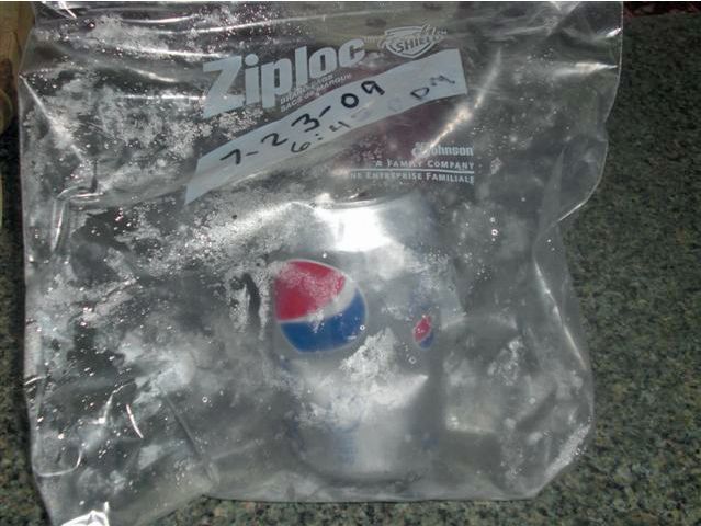 Bad surprise in a can of Pepsi (9 pics)