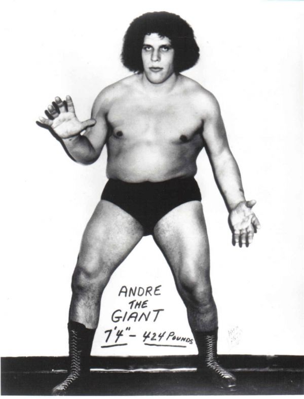André the Giant (14 pics)