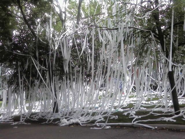 Huge Toilet Paper prank on a home in Pleasant Ridge (11 pics)