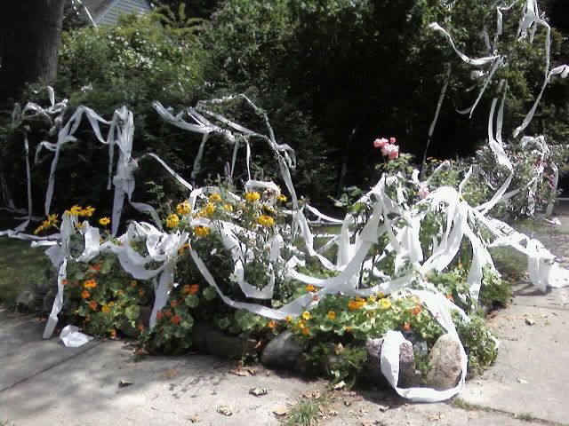 Huge Toilet Paper prank on a home in Pleasant Ridge (11 pics)