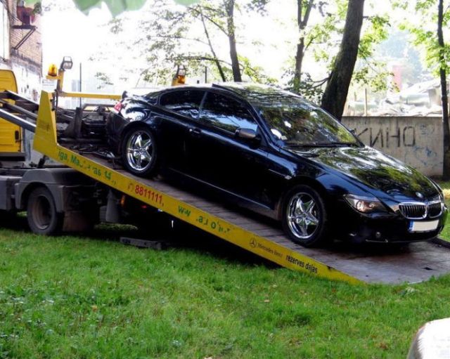Such drivers should be deprived of their driver's license for life! (10 pics)