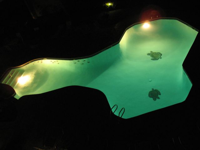 The most unusual swimming pools (19 pics)