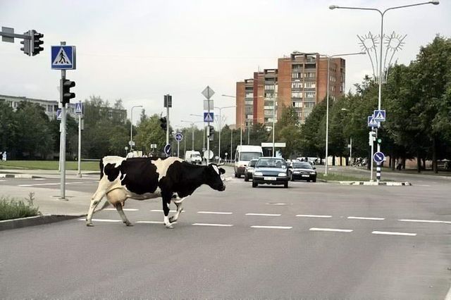 Only in Russia. Part 2 (69 pics)
