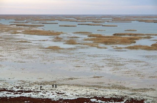 Dying Aral Sea (18 pics)