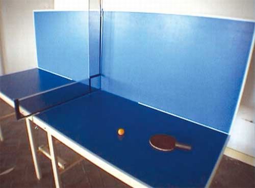 The most unusual tables for ping pong (10 pics)