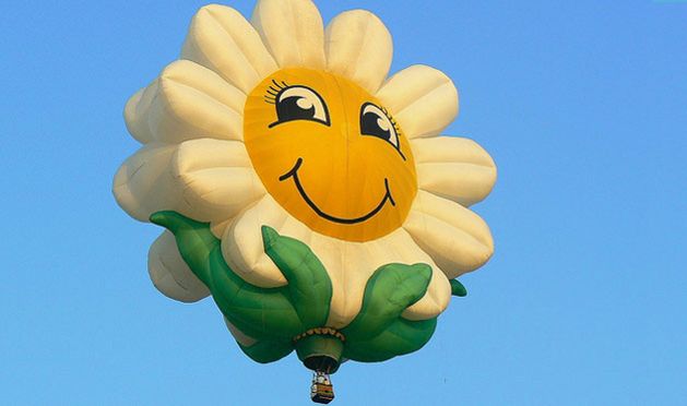Incredible hot air balloons (12 pics)