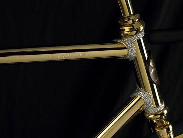 Golden bicycle (12 pics)