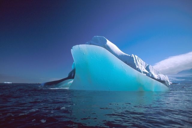 Icebergs (50 pics)