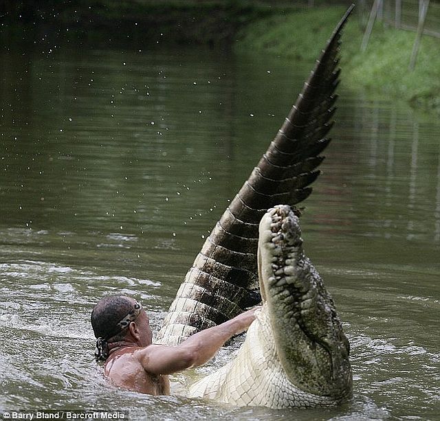 Incredible friendship between a crocodile and a human (4 pics)
