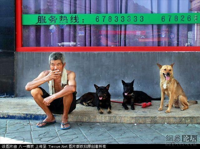 Life in modern China (56 pics)