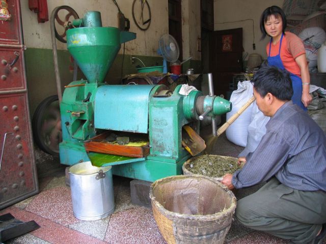 Life in modern China (56 pics)