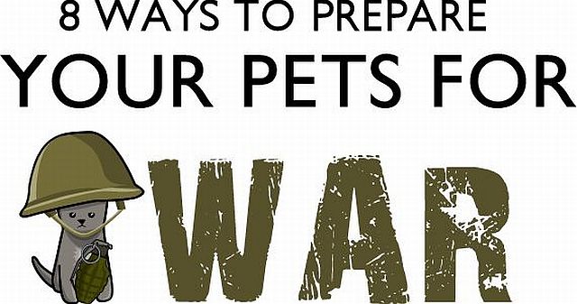 Eight ways to prepare your pets for war!
