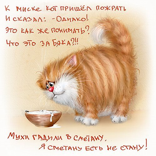 Funny cat drawings (24 pics)