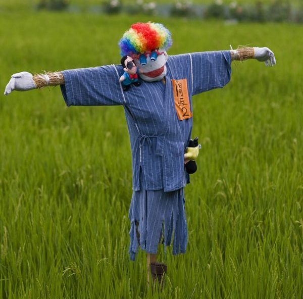 Funny scarecrow (18 pics)