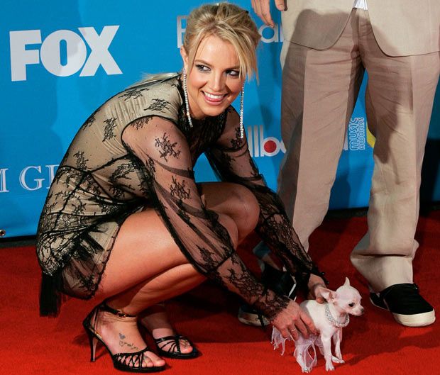 Celebrities and their pets (16 pics)