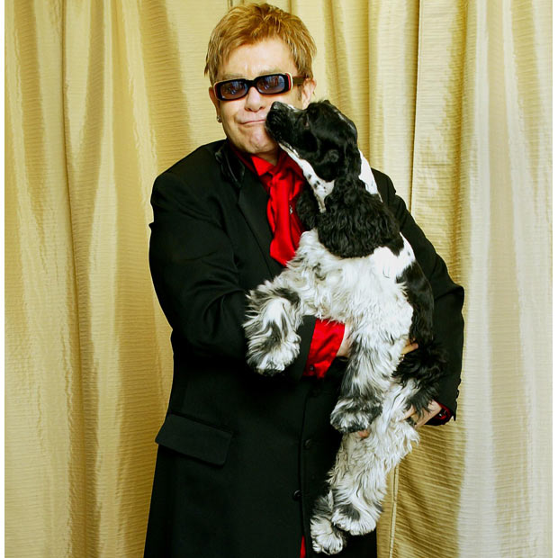 Celebrities and their pets (16 pics)