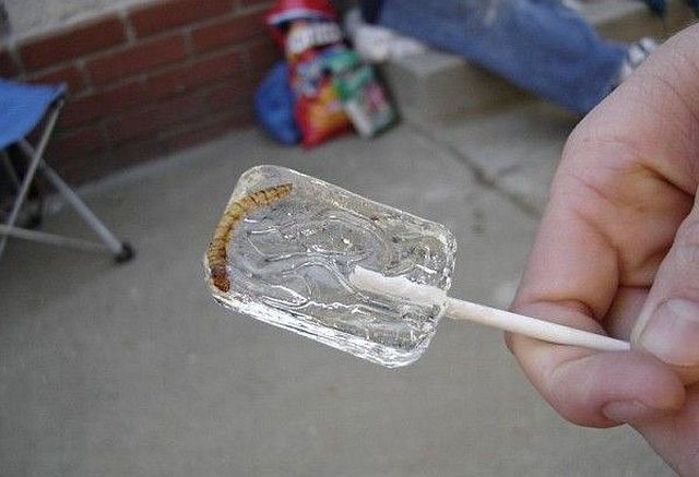 Lollipop with a taste of tequila and with a worm inside (3 pics)