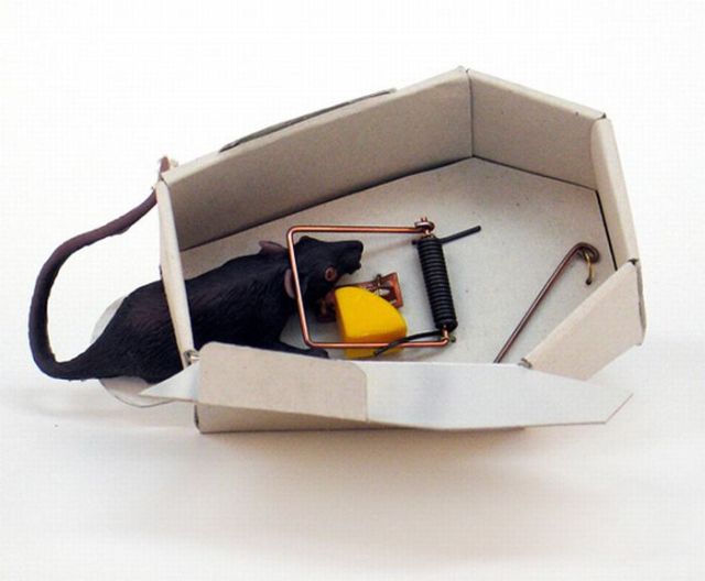 A mousetrap in form of a coffin (4 pics)