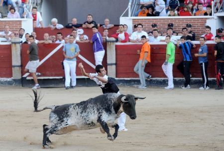 New game: avoid a bull and do it with some nice moves (5 pics)