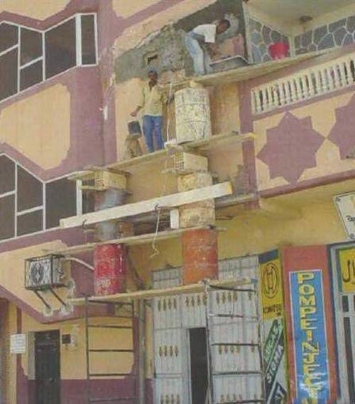 The best experts in safety (36 pics)