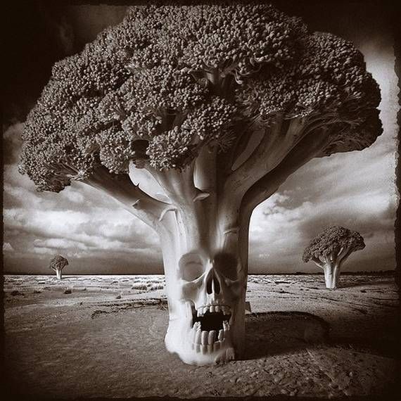 Mind blowing psychedelic photos (94 pics)