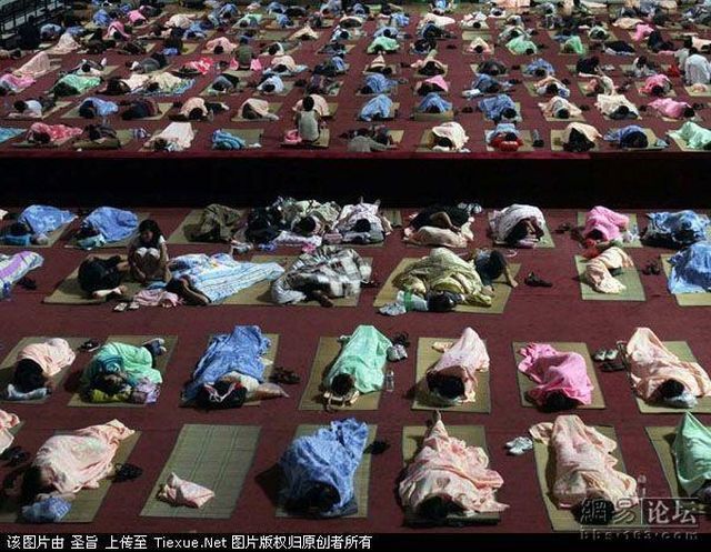Parents of Chinese university students sleeping in a gymnasium?! (8 pics)