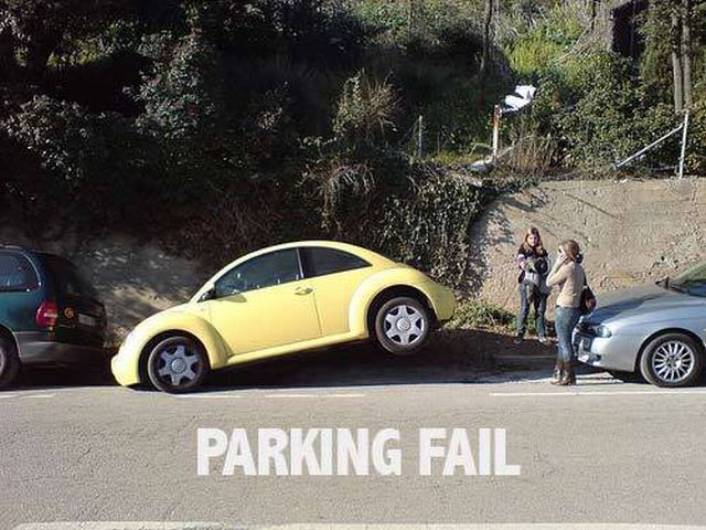 Masters of parking (42 pics)