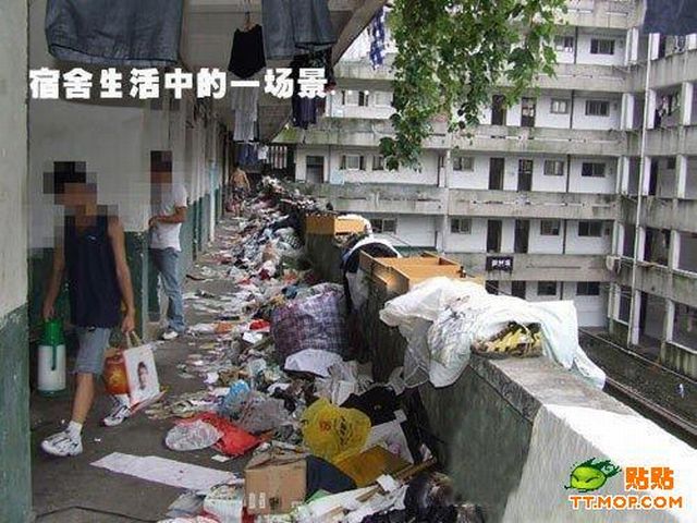 Another Chinese dorm (8 pics)