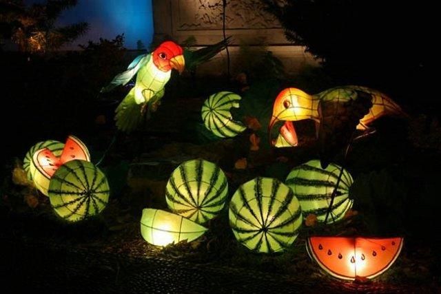Chinese lanterns (12 pics)