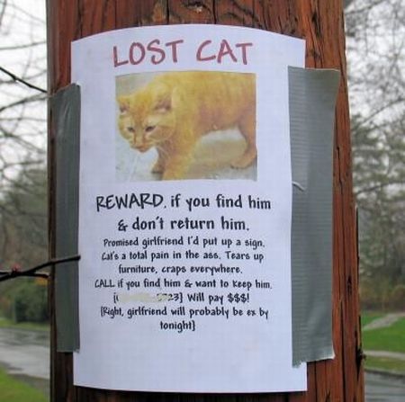 Hilarious lost and found signs (25 pics)