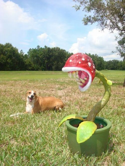 Awesome sculpture of Piranha plant (5 pics)