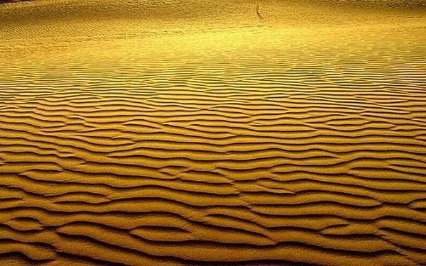 Deserts (50 pics)