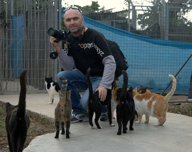 Shelter for cats in Israel (28 pics)