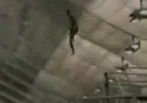 Fails and losers (45 gifs)