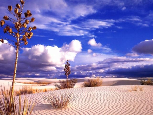 Beautiful photos of the deserts (57 pics)