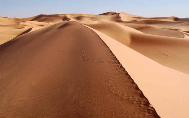 Beautiful photos of the deserts (57 pics)