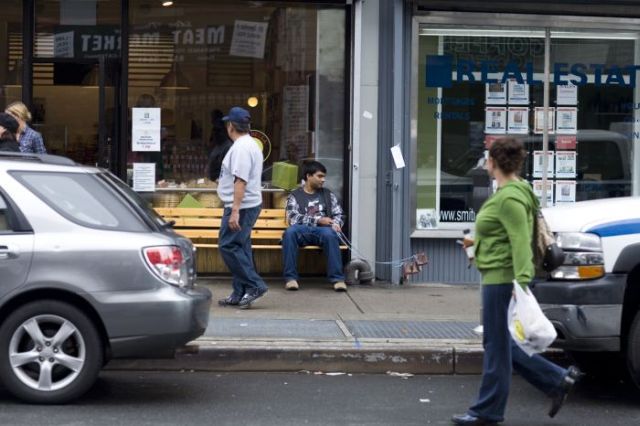 Interesting Flashmob - invisible dogs (22 pics)