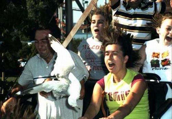 Funny faces during Roller Coaster ride (20 pics)