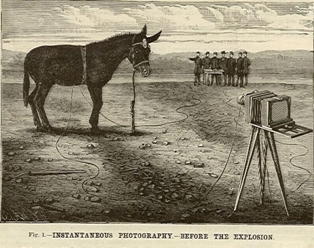 Dynamiting a mule to make the first instantaneous photograph! (5 pics)