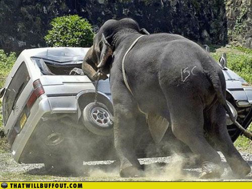 Bad day for cars (63 pics)