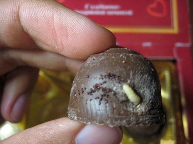 Unpleasant discovery in a candy (7 pics)