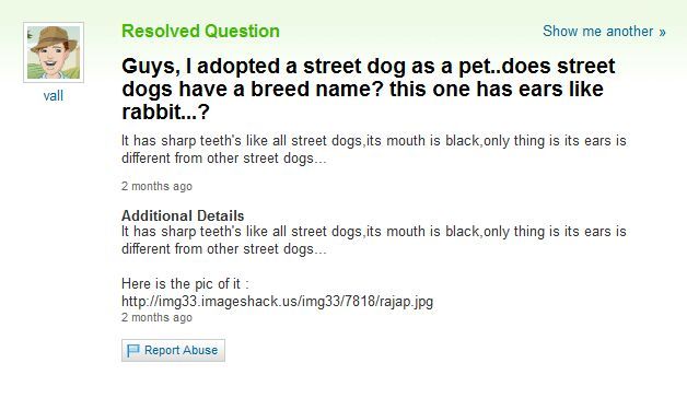 Hilarious, crazy, stupid and wacky questions for Yahoo Answers! (33 pics) -  