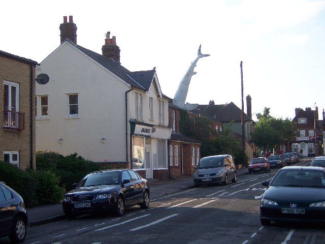 The Headington Shark (16 pics)